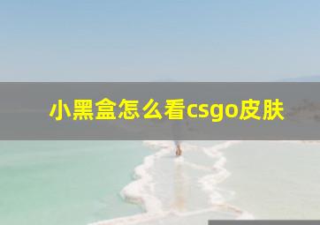 小黑盒怎么看csgo皮肤