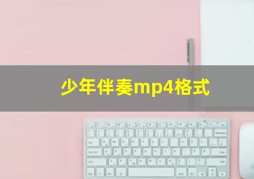 少年伴奏mp4格式