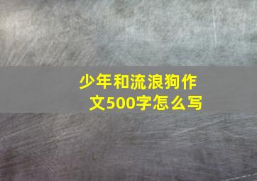 少年和流浪狗作文500字怎么写