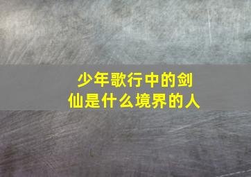 少年歌行中的剑仙是什么境界的人