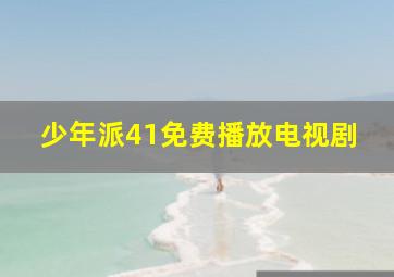 少年派41免费播放电视剧