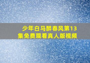 少年白马醉春风第13集免费观看真人版视频