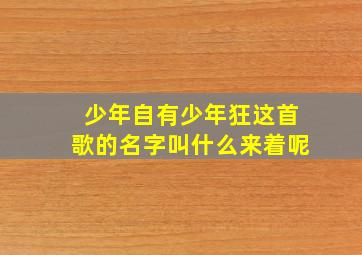 少年自有少年狂这首歌的名字叫什么来着呢