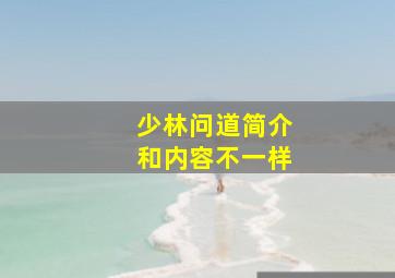 少林问道简介和内容不一样