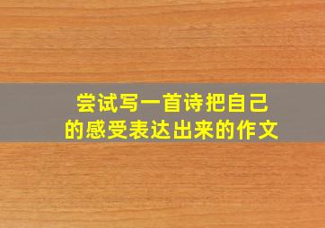 尝试写一首诗把自己的感受表达出来的作文