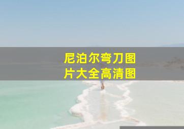 尼泊尔弯刀图片大全高清图