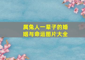 属兔人一辈子的婚姻与命运图片大全