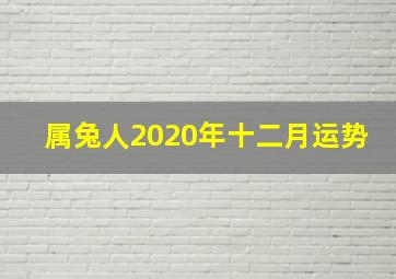 属兔人2020年十二月运势