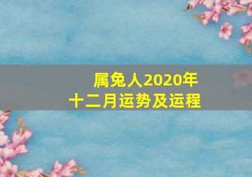 属兔人2020年十二月运势及运程