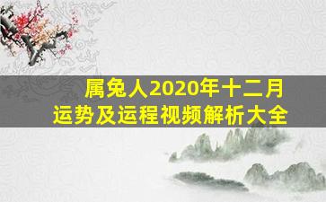 属兔人2020年十二月运势及运程视频解析大全