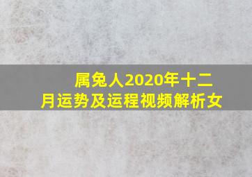 属兔人2020年十二月运势及运程视频解析女