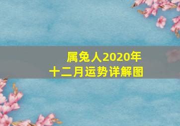 属兔人2020年十二月运势详解图