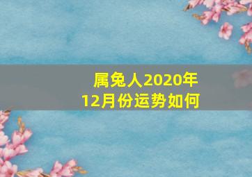 属兔人2020年12月份运势如何