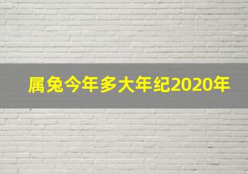 属兔今年多大年纪2020年