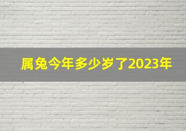 属兔今年多少岁了2023年