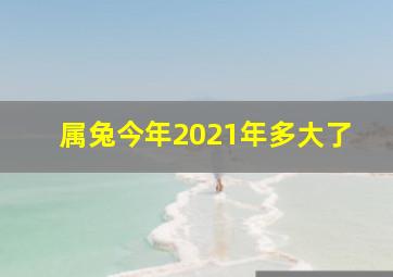 属兔今年2021年多大了