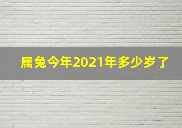 属兔今年2021年多少岁了