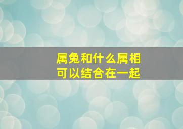 属兔和什么属相可以结合在一起