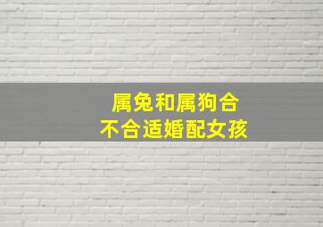 属兔和属狗合不合适婚配女孩