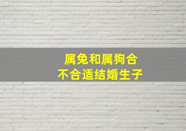 属兔和属狗合不合适结婚生子