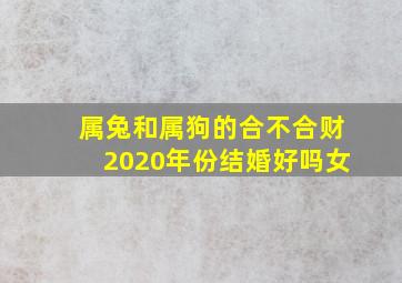 属兔和属狗的合不合财2020年份结婚好吗女