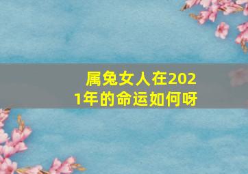 属兔女人在2021年的命运如何呀