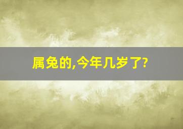 属兔的,今年几岁了?