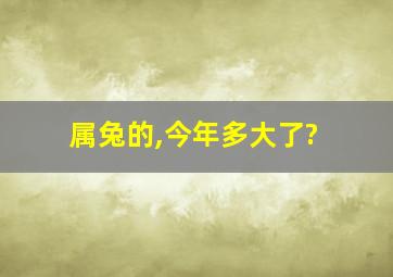 属兔的,今年多大了?