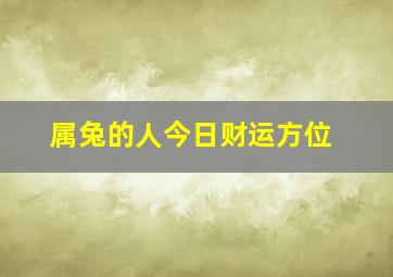 属兔的人今日财运方位