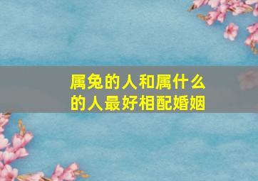 属兔的人和属什么的人最好相配婚姻