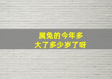 属兔的今年多大了多少岁了呀