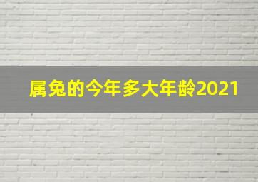 属兔的今年多大年龄2021