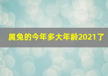 属兔的今年多大年龄2021了