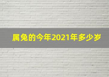 属兔的今年2021年多少岁