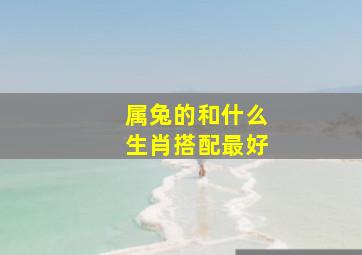 属兔的和什么生肖搭配最好