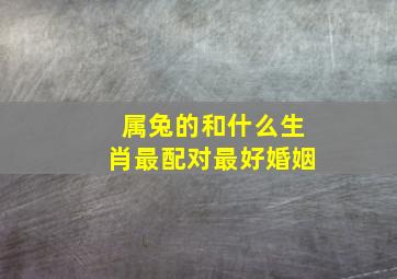 属兔的和什么生肖最配对最好婚姻