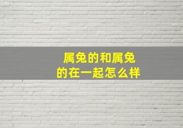 属兔的和属兔的在一起怎么样