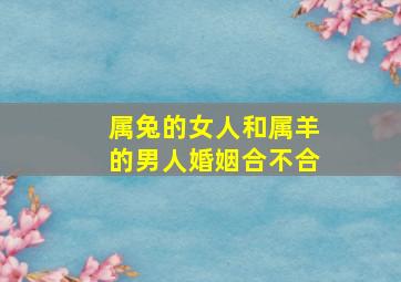 属兔的女人和属羊的男人婚姻合不合