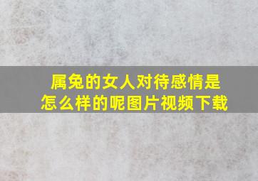 属兔的女人对待感情是怎么样的呢图片视频下载