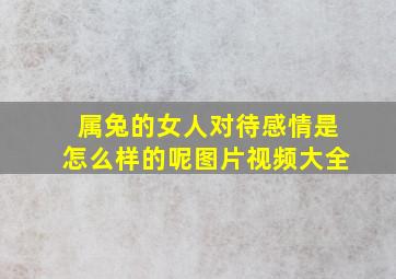 属兔的女人对待感情是怎么样的呢图片视频大全