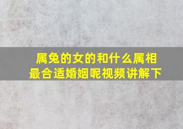 属兔的女的和什么属相最合适婚姻呢视频讲解下