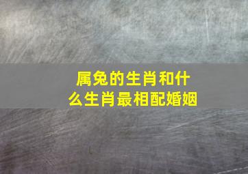 属兔的生肖和什么生肖最相配婚姻