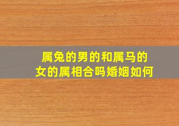 属兔的男的和属马的女的属相合吗婚姻如何