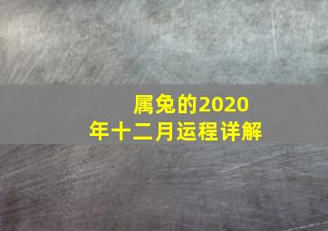 属兔的2020年十二月运程详解