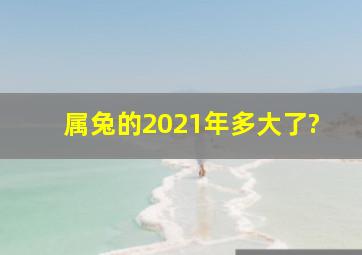 属兔的2021年多大了?