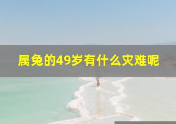 属兔的49岁有什么灾难呢