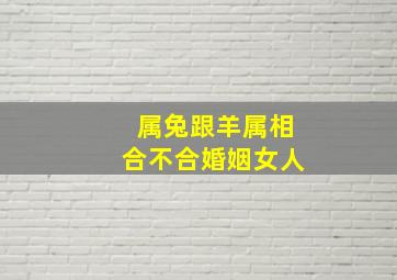 属兔跟羊属相合不合婚姻女人