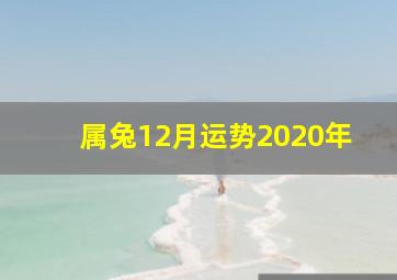 属兔12月运势2020年