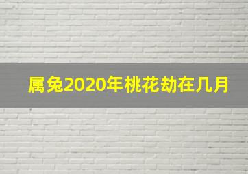 属兔2020年桃花劫在几月