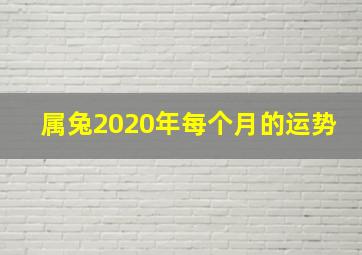 属兔2020年每个月的运势